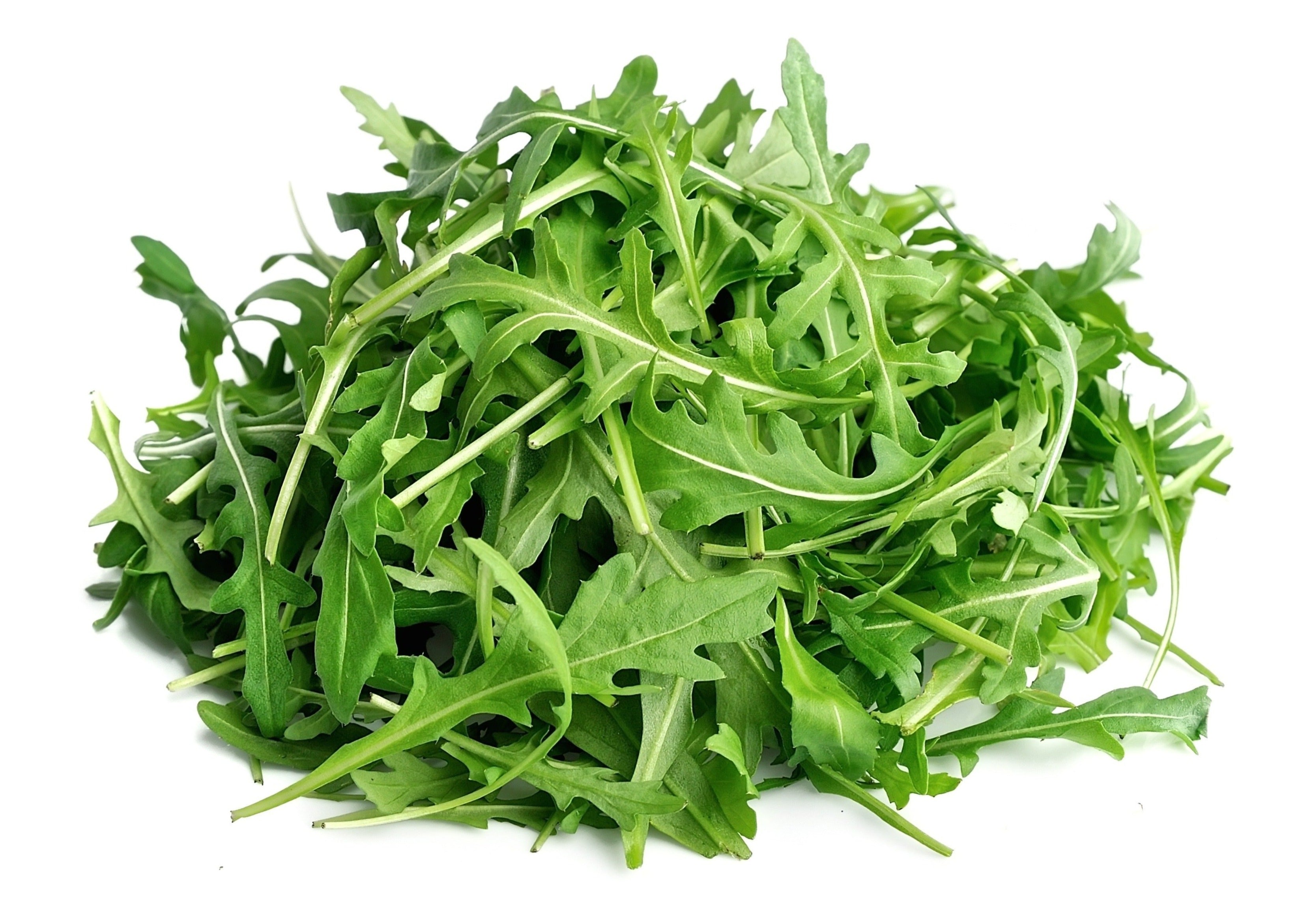 Rocket Leaves Arugula EDEN S HK rocket-leaves-arugula-eden-s-hk