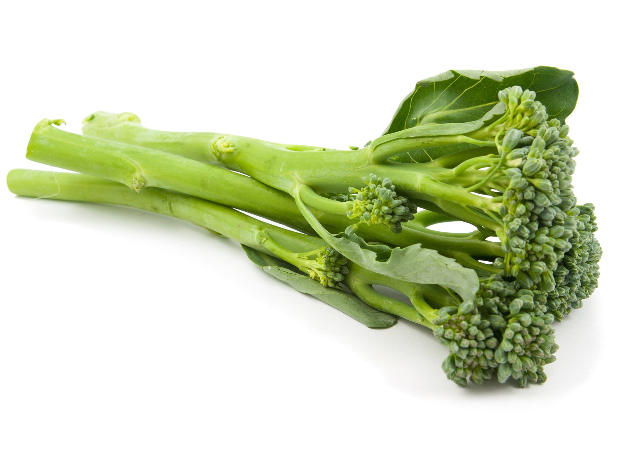 Broccolini EDEN'S HK