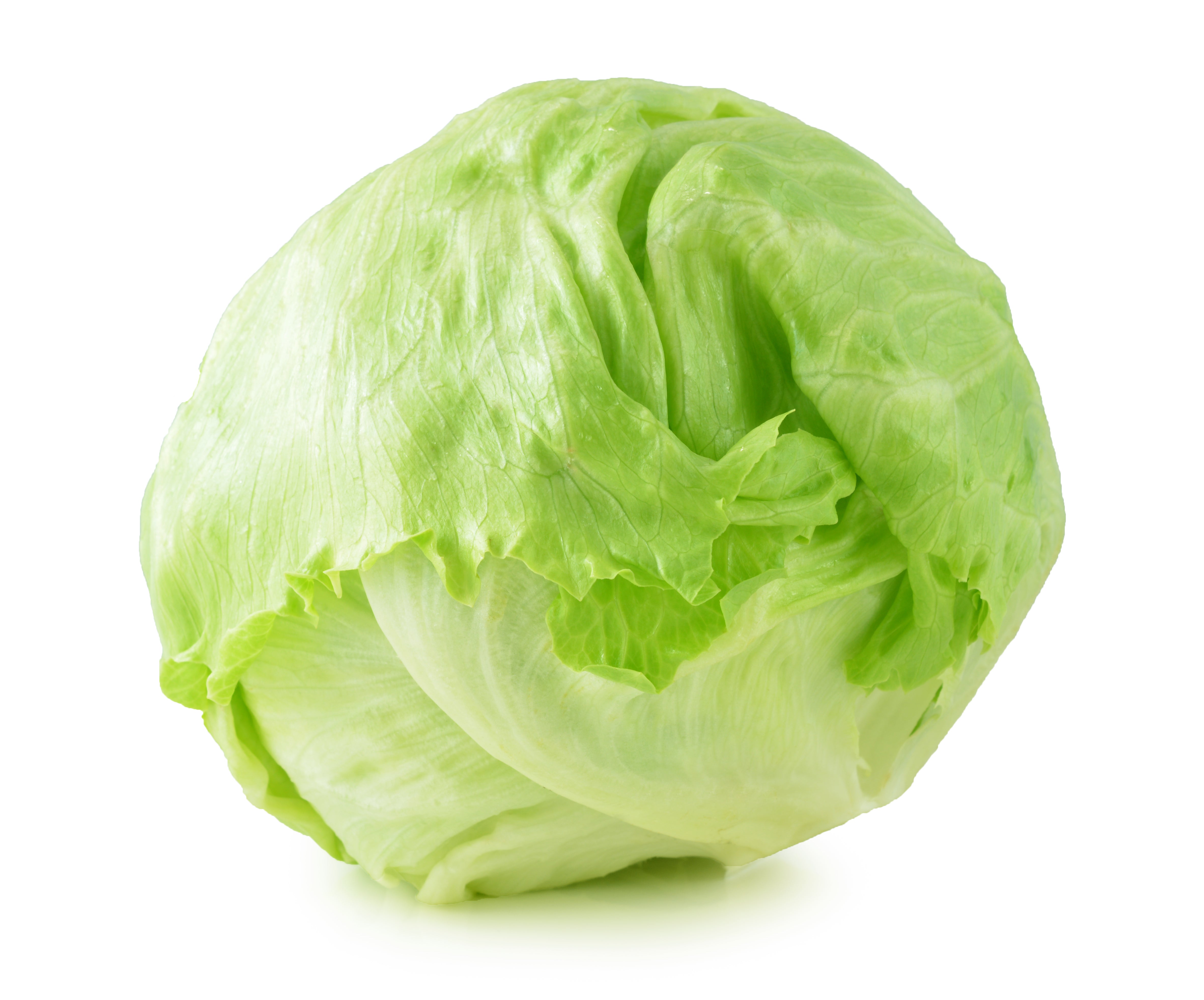 Iceberg Lettuce EDEN'S HK
