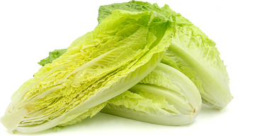 Romaine Hearts Import