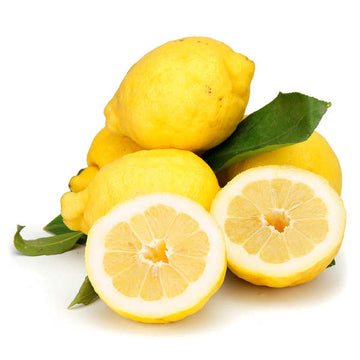 Lemon Amalfi