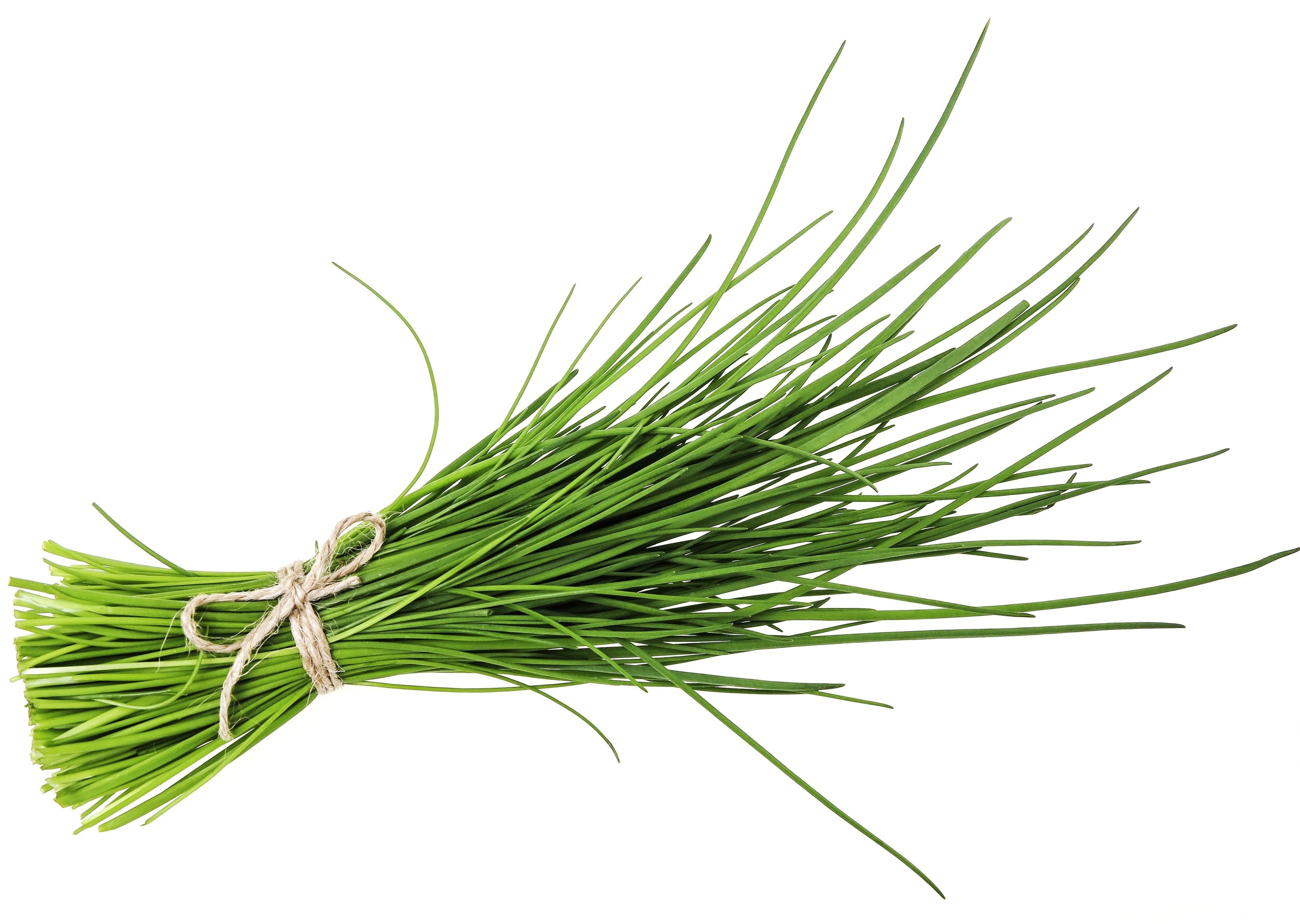 Chives &ndash; EDENS HK