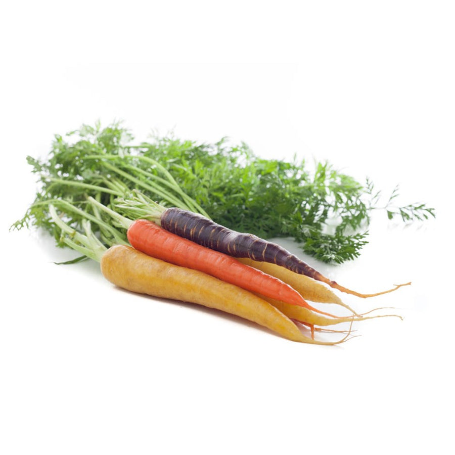 Baby Carrots (multicolored)