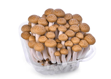 Brown Shimeji Mushroom-Local-EDENSHK