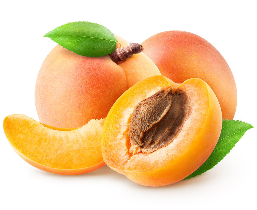 Apricot-Italy-EDENSHK