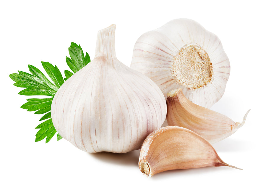 Garlic-Local-EDENSHK