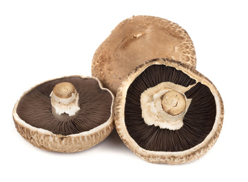 Portobello Mushroom-Local-EDENSHK