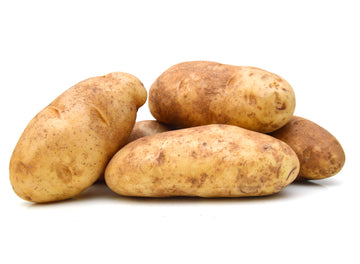 Potatoes Agria-Holland-EDENSHK