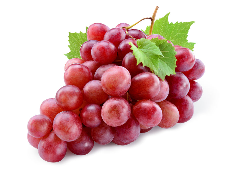 Red Grapes (Seedless)-Australia / Chile-EDENSHK
