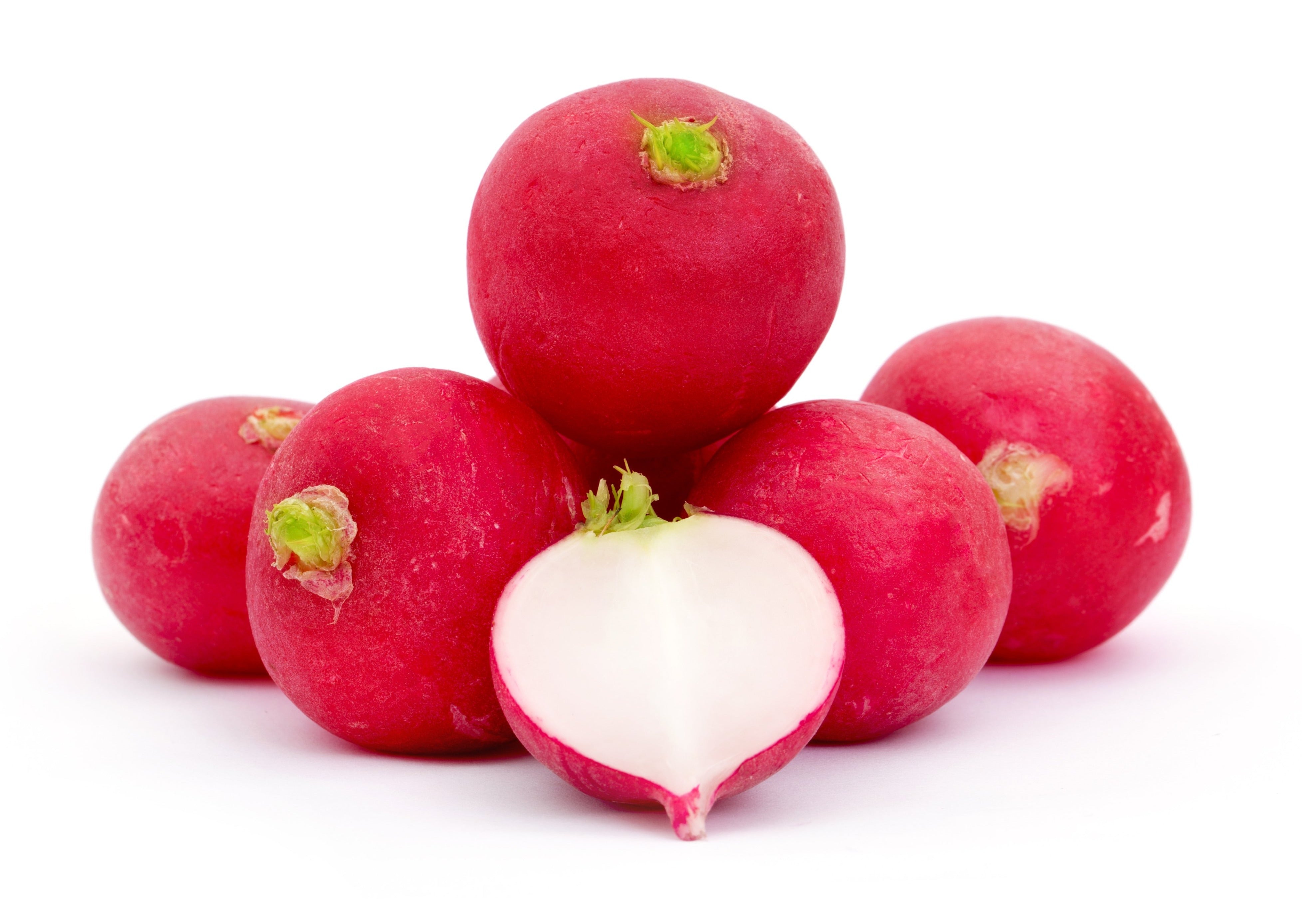 Radish Red Round – EDEN'S HK