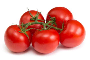 Tomatoes on the vine large-Italy-EDENSHK
