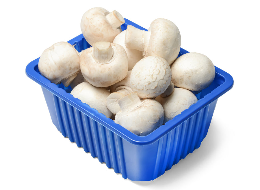 White Button Mushroom (Punnet)-Local-EDENSHK